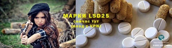 крисы Белокуриха