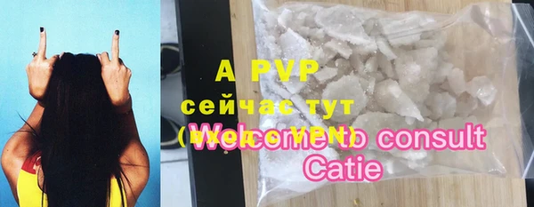крисы Белокуриха