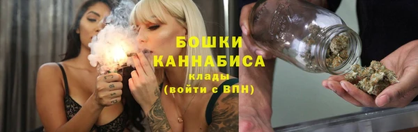 крисы Белокуриха