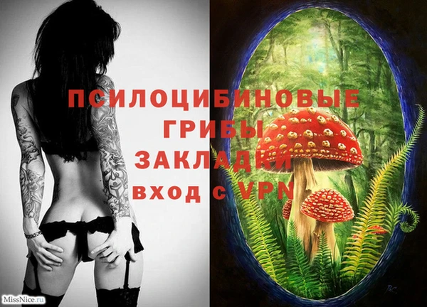 дурь Белоозёрский