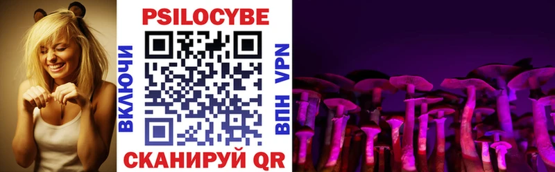 Псилоцибиновые грибы Cubensis  Вытегра 